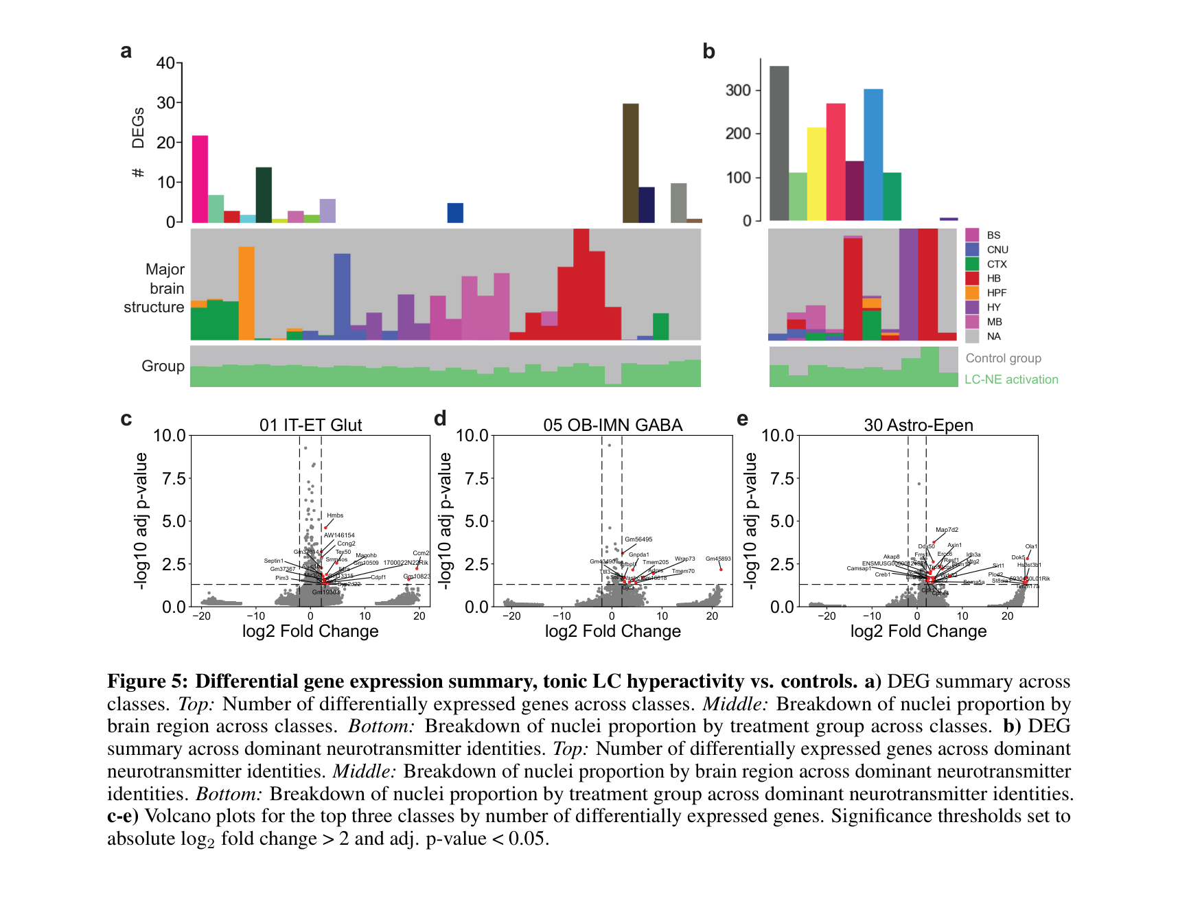 Figure 5 — Differential gene expression summary across cell types under tonic LC hyperactivity, including DEG counts, brain region composition, and volcano plots